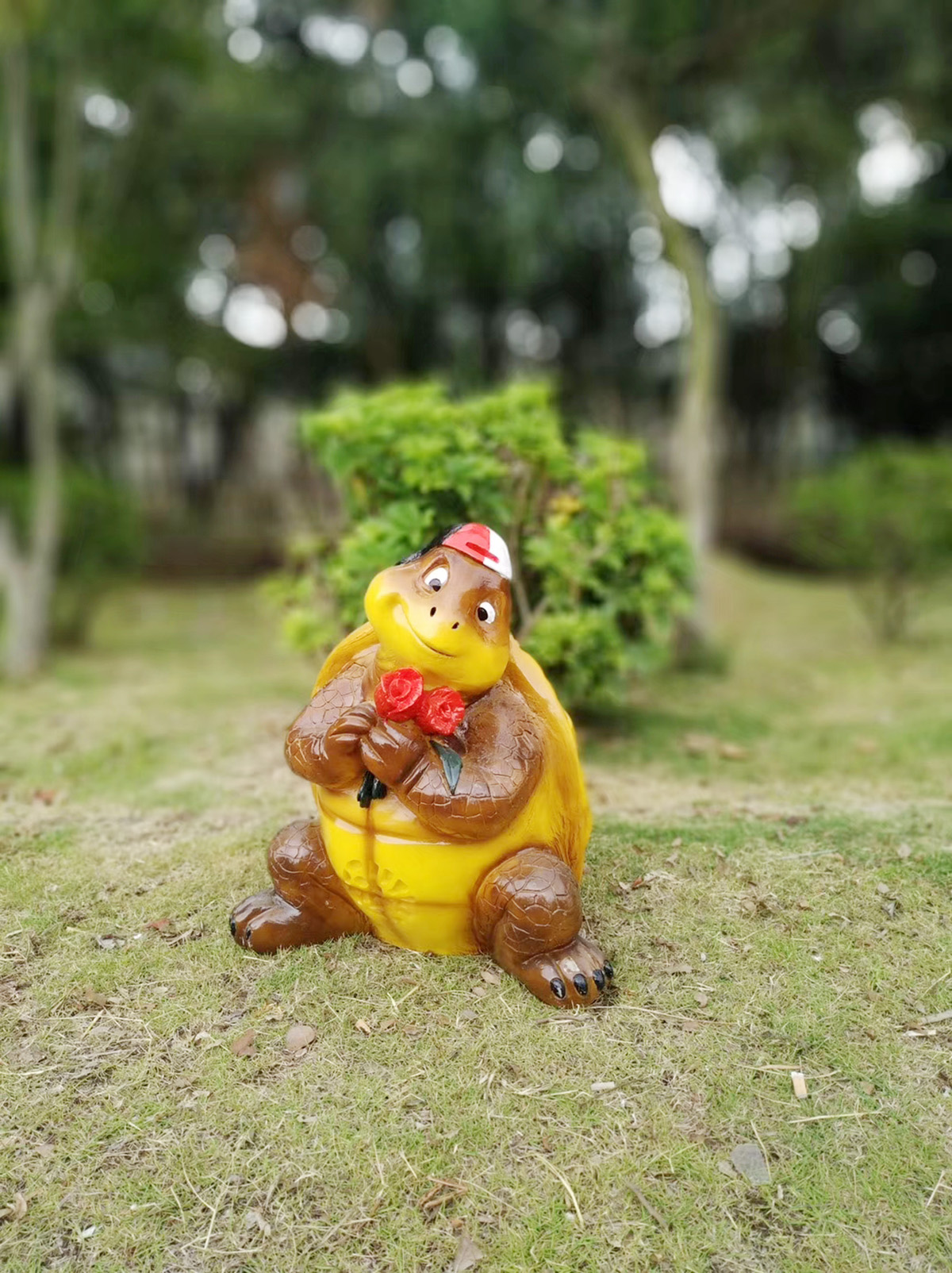 烏龜  價格